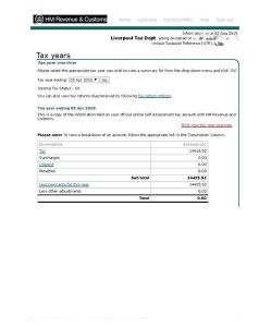 Tax-Year-Overview-example